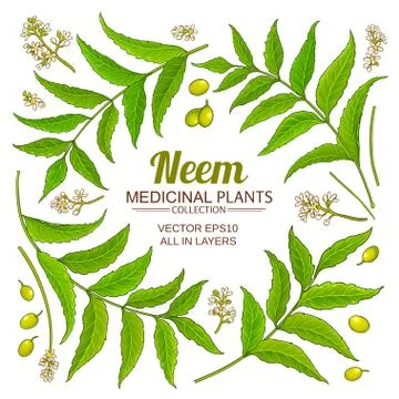 Neem elements vector set Stock Illustration