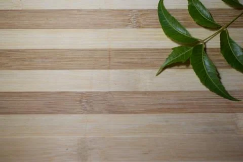 Neem leaves Stock Photos