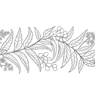 Neem Outline Horizontal Seamless Pattern. Stock Illustration