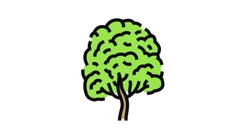 Neem tree jungle amazon color icon animation Stock Footage 326106937