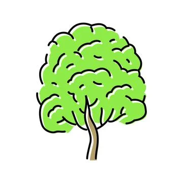 Neem tree jungle amazon color icon vector illustration Stock Illustration