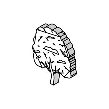 Neem tree jungle amazon isometric icon vector illustration Stock Illustration
