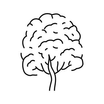 Neem tree jungle amazon line icon vector illustration Stock Illustration