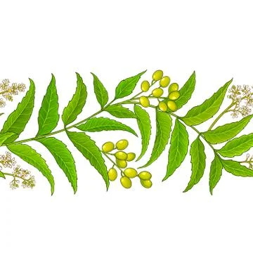 Neem vector pattern Stock Illustration