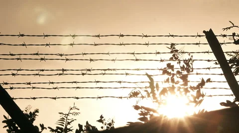 Negation of freedom Stock-Footage 56965566