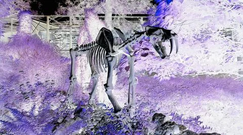 Negative image - Artificial statue of extinct predator smilodon situated at Stock Photos