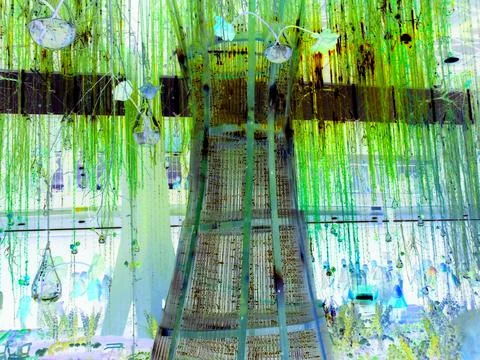 Negative image - Beautiful illuminated decorations at Flora Exposition hall. Stock Photos