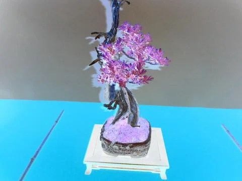 Negative image - Bonsai tree with small leaves looking damaged. Long trunk. Stock Photos