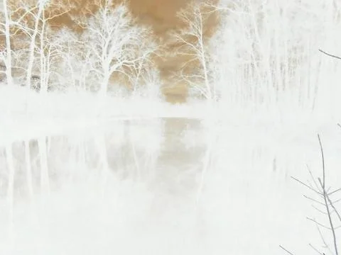 Negative image - Eerie bare forest and dark clouds surrounding a black pond. Stock Photos
