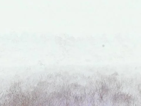 Negative image - Horror-like image of ghostly lighted meadow in night. Stock Photos