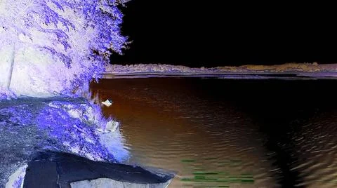 Negative image - Light damaged scene with pond shore,trees and path,engulfed in Stock Photos