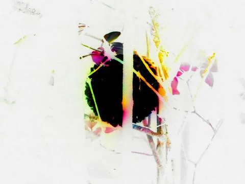 Negative image - Light performance art in nature: orb of blinding light hanging Stock Photos