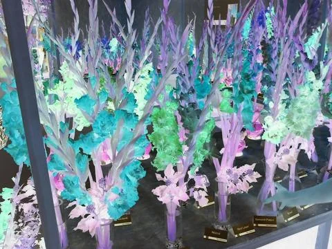 Negative image - Multiple various varieties of gladiola flowers with different Stock Photos