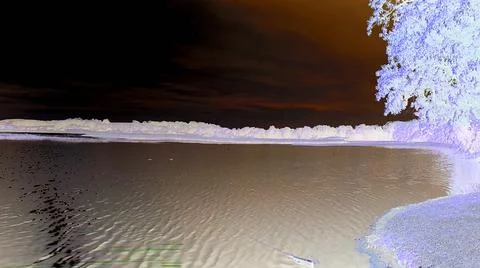 Negative image - Pond with tree on pebbly shore and overexposed sun behind Stock Photos