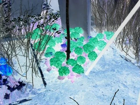 Negative image - Purple flowers of Hydrangea species in fresh dirt. Flora Stock Photos