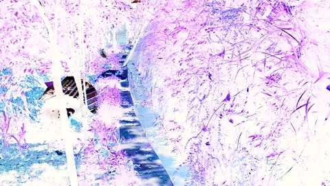 Negative Landscape Loop background with blue summer sky and tree crowns with  Stock Footage 219458764