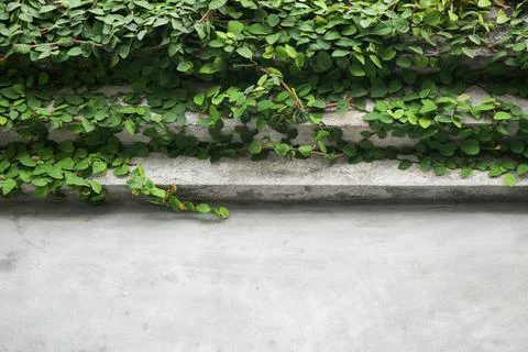 Negative space on a cement wall Stock Photos