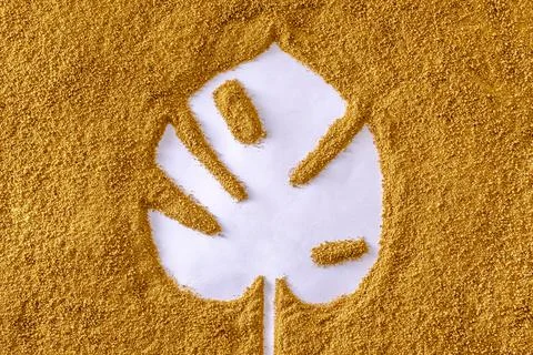 Negative space monstera leaf in the sand on the beach Stock-Fotos