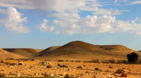 Negev Desert 2 Stock Footage 47228333