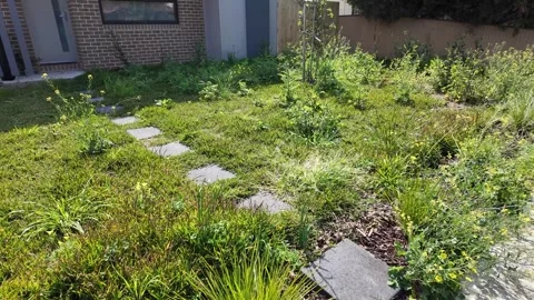 A neglected and messy front yard of a suburban house, with overgrown weeds Vídeos de archivo 295330589