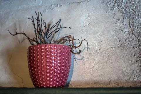 Neglected dead houseplant in front of rustic background with copyspace Stock Photos