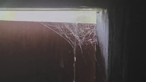 Neglected dusty cobweb hanging in the corner of an old wooden window frame Stock Footage 345601028