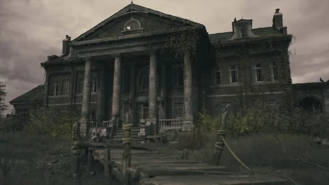 Neglected Dutch museum front with crumbling steps and wild flora Stock Footage 342928075