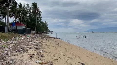Neglected Paradise, Tropical Beach Pollution Crisis Stock Footage 260162622