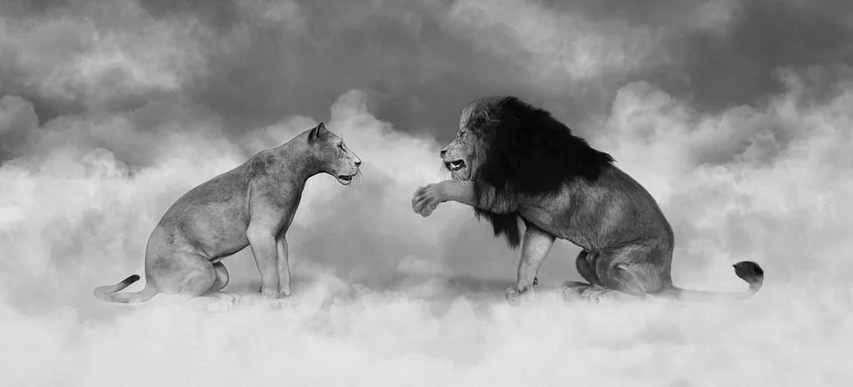 Negotiation concept, 2 lions talking and explaining Stock Illustration