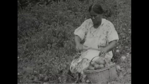 The Negro Extension Program sends government agricultural agents to help poor Stock Footage 124098643