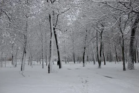 Neige Stock Photos