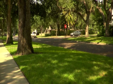 Neighborhood Stock Footage 8693353