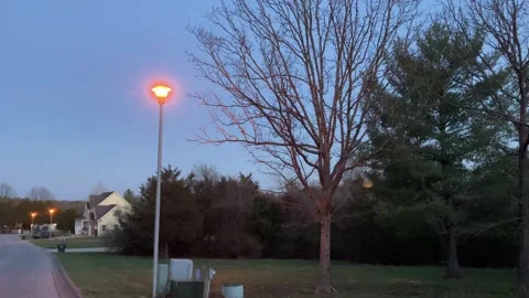 Neighborhood lamplight with tree Stock Footage 306610734