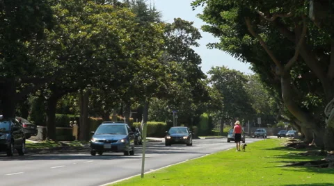 Neighborhood street with dog walkers and cars Stock Footage 44347256