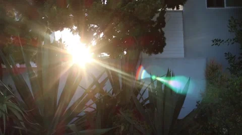 Neighborhood Sunset Stock Footage 49438228
