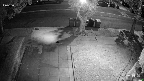 Neighbors Try To Help Screaming Stranger At Midnight, Los Angeles, California, U Stock Footage 316629688