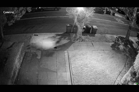 Neighbors Try To Help Screaming Stranger At Midnight, Los Angeles, California, U Stock Footage 316629962