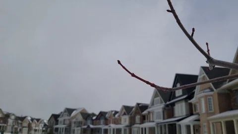 Neighbourhood 6 Stock Footage 101858556