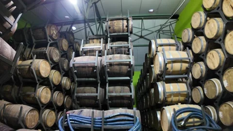 Neisson Distillery rum barrels aging in cellar Stock Footage 329619889