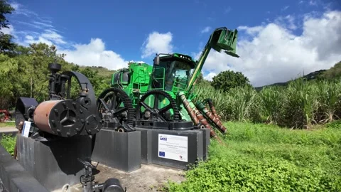 Neisson Distillery sugarcane processing evolution in Martinique Stock Footage 327764707