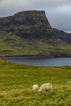 Neist Point at sunset, lighthouse, dramatic cliffs. Isle of Skye Stock Photos