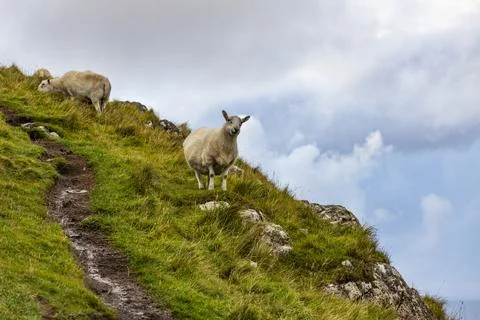 Neist Point at sunset, lighthouse, dramatic cliffs. Isle of Skye Stock Photos