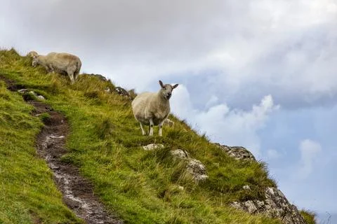 Neist Point at sunset, lighthouse, dramatic cliffs. Isle of Skye Stock Photos