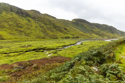 Neist Point at sunset, lighthouse, dramatic cliffs. Isle of Skye Stock Photos