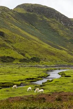 Neist Point at sunset, lighthouse, dramatic cliffs. Isle of Skye Stock Photos