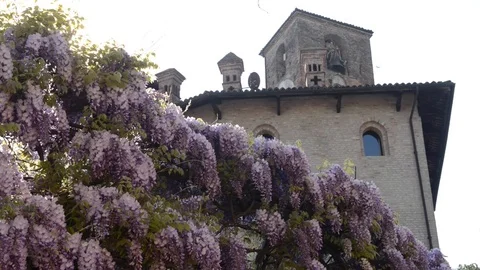 Neive, close up on ancient stone made building Видео 79397622