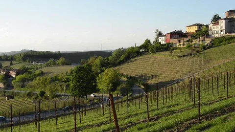 Neive, pan view left to right on Neive and its vineyards Stock Footage 79389052
