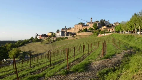 Neive, panoramic view on the town of Neive, Langhe, Italy Stock Footage 79360014