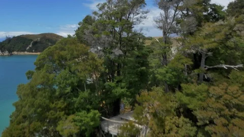 Nelson Coastline (Drone) Stock Footage 86668150
