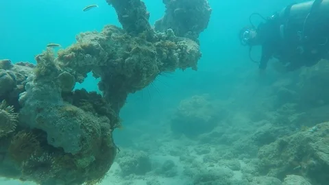 Nelson Harbour Anchor Dive 스톡 동영상 108509936
